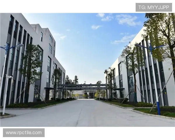 凯发真人集团怎么样，平台的合法运营背景和行业信誉